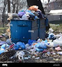 Professional Junk Removal Services in Colon, MI