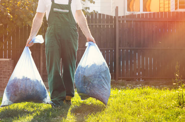 Best Shed Removal  in Colon, MI